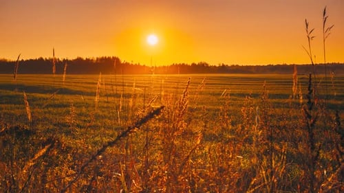 Beautiful Autumn Field Landscape TimeLapse TimeLapse