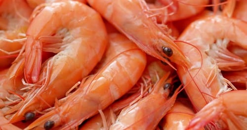 Cooked shrimp on dish