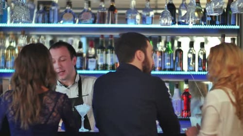 Group of Friends Relaxing on Party in Bar, Talking with Bartender