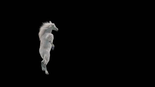 White Horse Rearing on Black Background