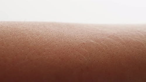 Detailed Forearm Skin Texture in Macro Shot