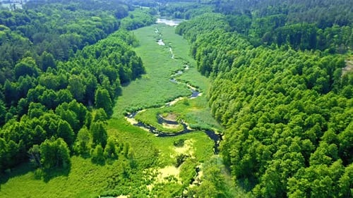 Vista aérea de pântanos e algas verdes em um pequeno rio
