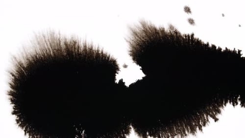 Dynamic Black Ink Spreads on White Surface