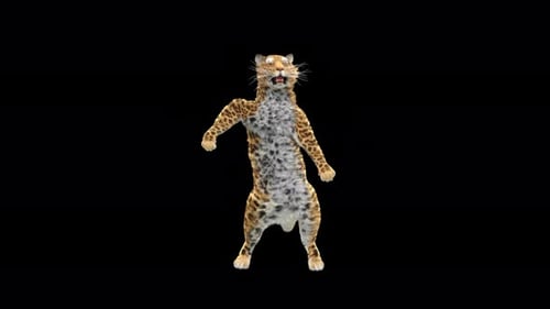 Leopard Dancing 4K