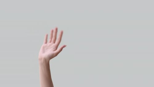 Waving Arm and Hand Against Grey Background