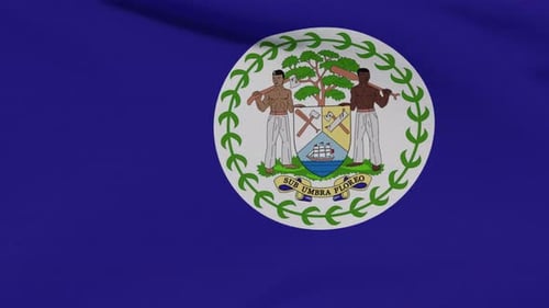 Flagge Belize Patriotismus Nationale Freiheit Seamless Loop
