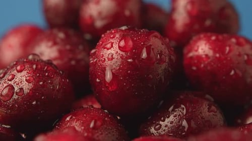 Dark Red Cherries on a Blue Background