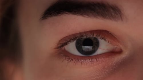 Makro-weibliches Auge ist offen