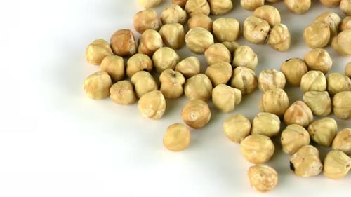 Hazelnut Macro View