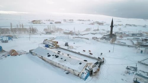 La vie de village et le berger