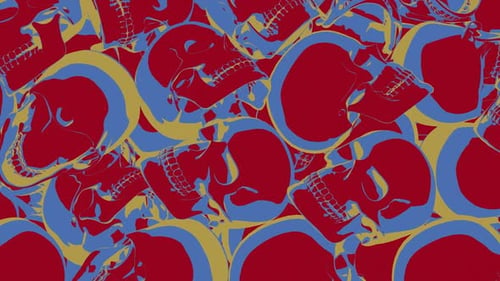 Skull Transition 03 Hd