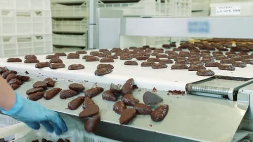 Bouquet de délicieux bonbons au chocolat posés sur le tapis roulant d'une confiserie. Fabrique de bonbons.