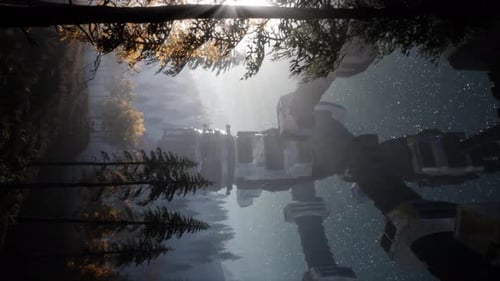 UFO Hovering Over Forest