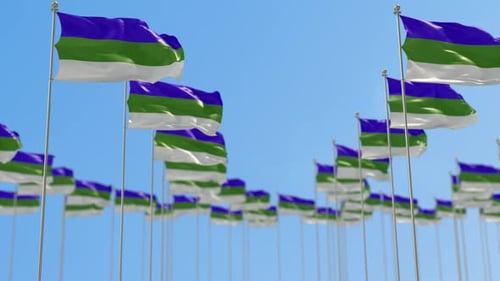 Many Waving Striped Flags on Poles Against Clear Sky