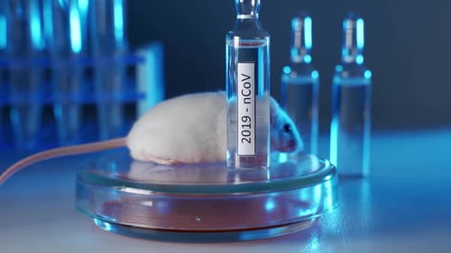 White Mouse next to Vials labeled 2019-nCoV