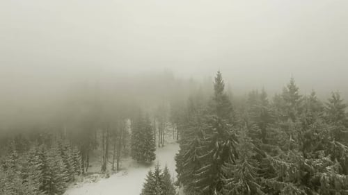 Winterwald durch die Wolken