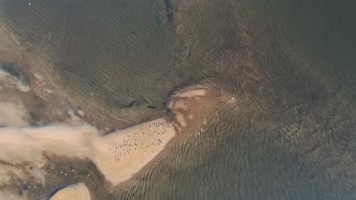 Plage de sable jaune avec vagues sur la mer bleue vue d'une hauteur