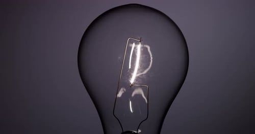 Light Bulb