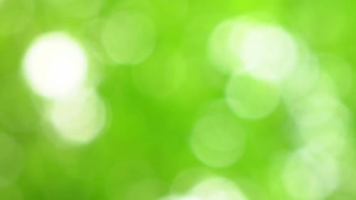 Nature Bokeh