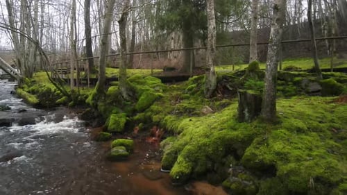 River waterfall