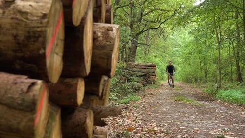 A Cyclist Rides Down a Path Through a Forest - a Pile of Logs in the Foreground