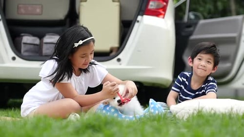 Asian Children Playing With Siberian Husky Puppy In The Park