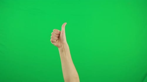 Mans Hand Show Thumbs Up Gesture. Male Hand Rise Up and Do Thumbs Up. Alpha Channel, Keyed Green Screen
