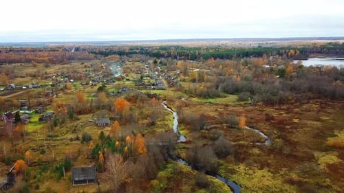 Autumn In The Forest 32