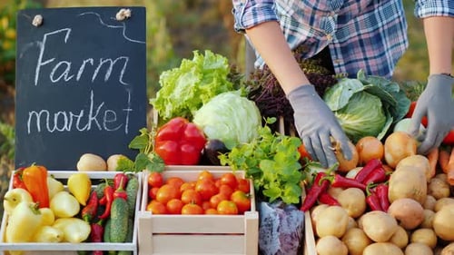 The Seller at the Farmers Market Lays Out Vegetables on the Counter
