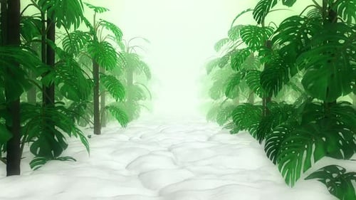 Monstera Hd
