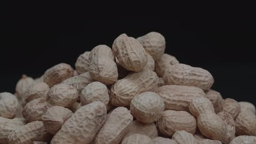 Close Up of Pile of Peanuts in Shells