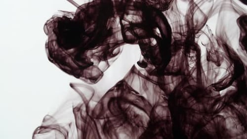 Black Ink Diffusing in Water on White Background
