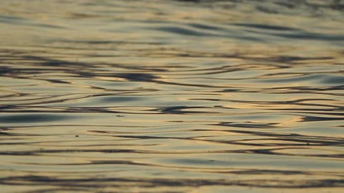 Abstract Nature Summer Ocean Warm Sunset Sea Background