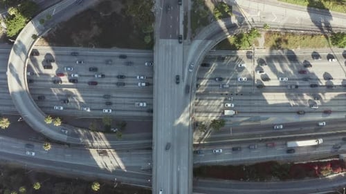 AERIAL Birds Eye View of Downtown Los Angeles California Intersection Traffic with Palm Trees and