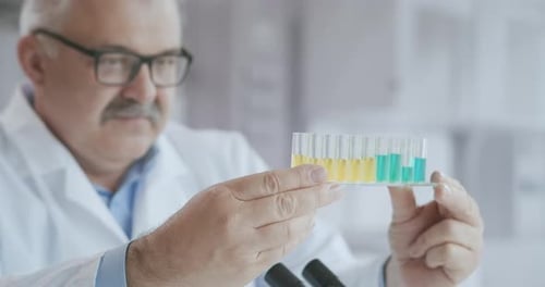 Scientist Examines Test Tubes in Lab Setting