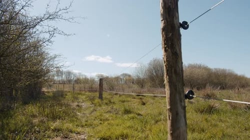 Amazing View of a Landscape in Denmark with Grass and Trees Against Blue Sky