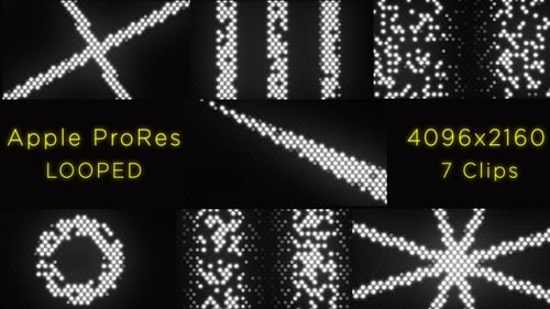 Lights Flash 4K - 7 Pack