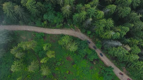 Aerial View of ATV Team Driving Through the Forest in the Mountains