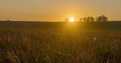 Flat Hill Meadow Timelapse at the Summer Sunset Time. Wild Nature and Rural Grass Field. Sun Rays