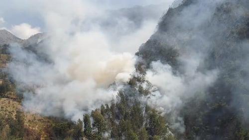 Waldbrand in den Bergen