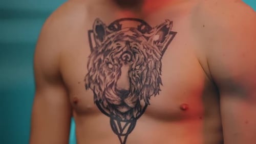 Man's Chest with Geometric Tiger Tattoo Close Up