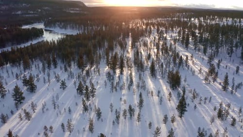 Aerial Nordic Winter Landscape Flight Over Snow Mountain Forest on Sunset