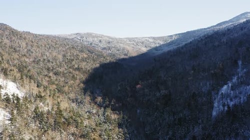 Winter Forest Nature Snow and Frost Covered Conifers Alpine Landscape