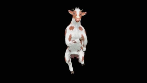 Humorous Stylized Dancing Cow Animation Loop
