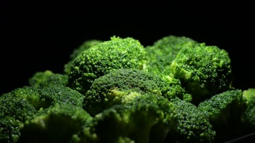 Close Up of Vibrant Green Broccoli Florets