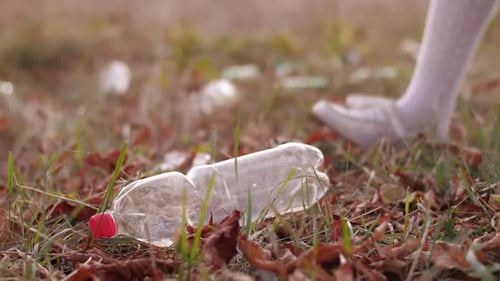 Girl Picking Up Plastic Bottle in Autumn Park
