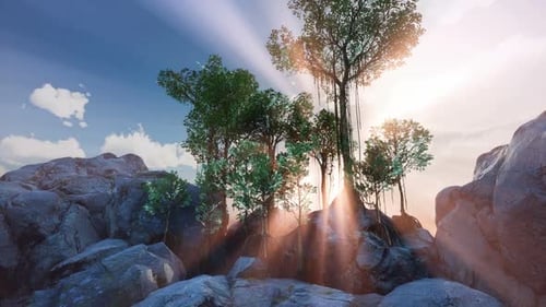Sun Beams Through Trees