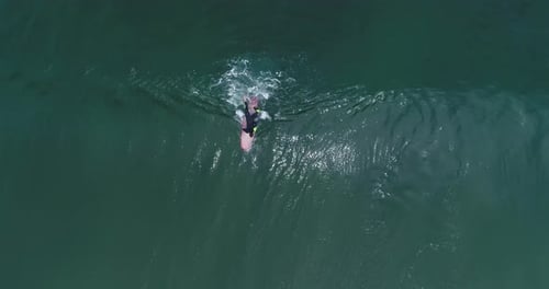 Surfers catching waves in ocean
