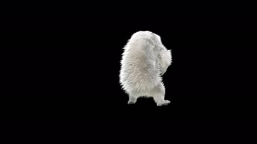 Cute White Fluffy Creature Dancing Seamless Animation with Alpha Channel
