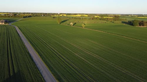 Straße entlang großer grüner Felder, Sonnenaufgang, wunderschöner Himmel und Landschaft